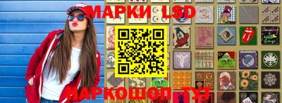 дмт Нальчик