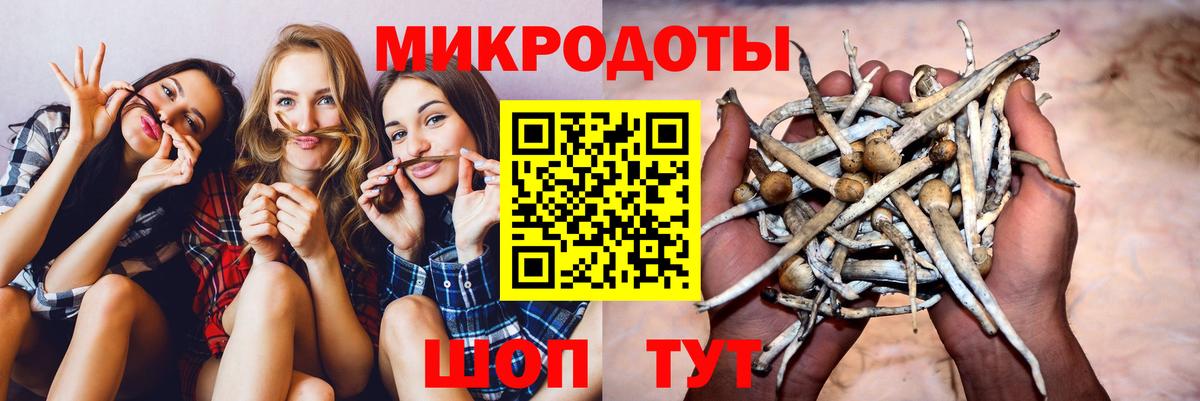 Реж  Псилоцибиновые грибы Psilocybe  продажа наркотиков  Вход с VPN 